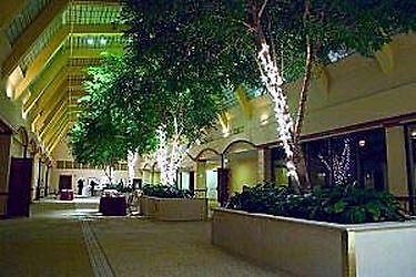 Hotel Mockingbird Dallas Exteriér fotografie